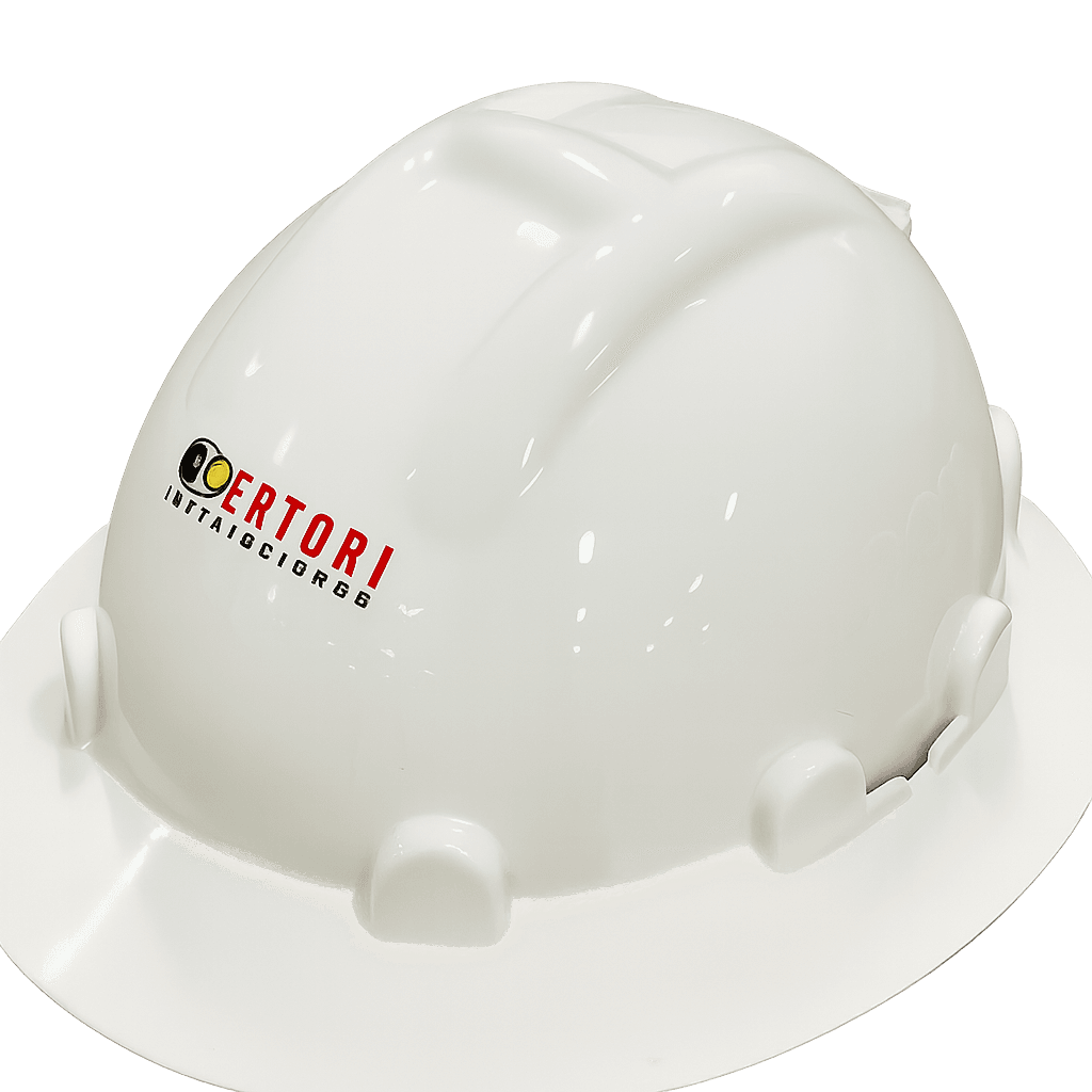 Casco de Seguridad WISDOM